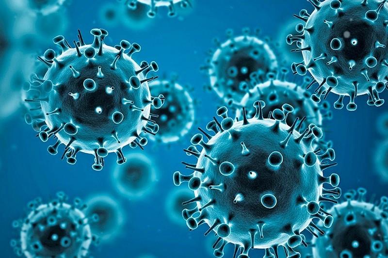 “Querencio” y el coronavirus